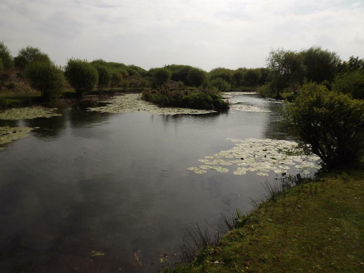 Marsh Water Ponds Fishery Villa Kidwelly Exterior photo