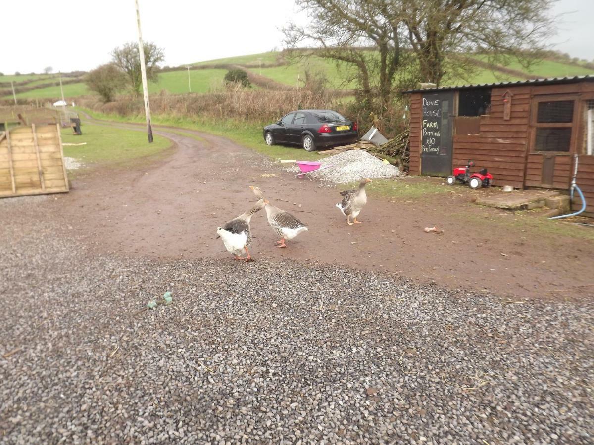 Marsh Water Ponds Fishery Villa Kidwelly Exterior photo